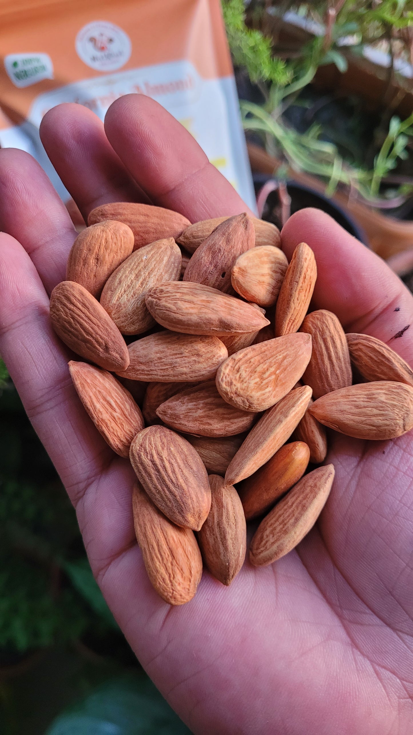 Premium California Almonds - 200g/500g